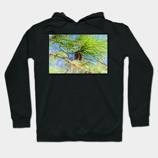 Pine cones on a tree Hoodie